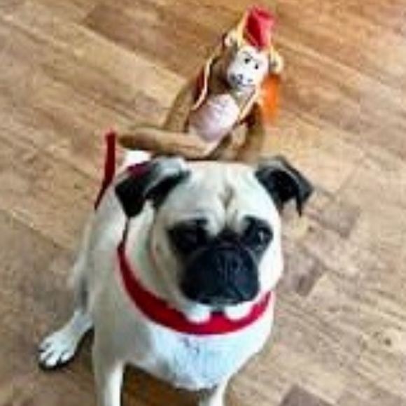 Welcome to "Our" Shop - Picture 1 of 2